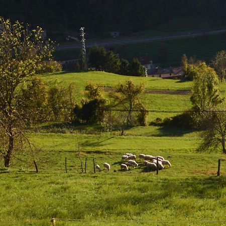Apartma Zala Most na Soči 外观 照片