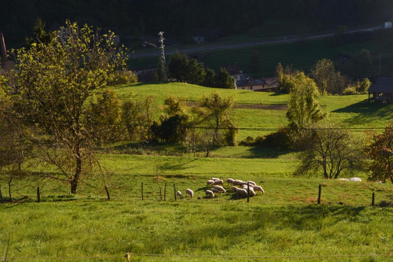 Apartma Zala Most na Soči 外观 照片
