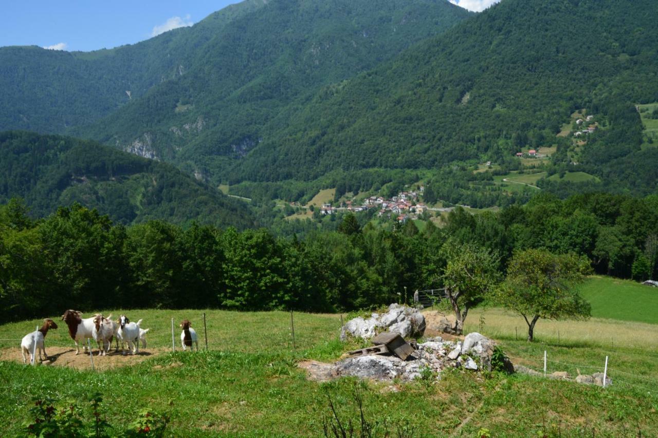 Apartma Zala Most na Soči 外观 照片